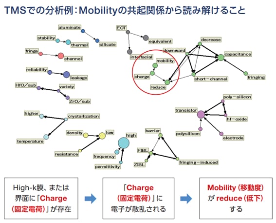 TMSによる分析例